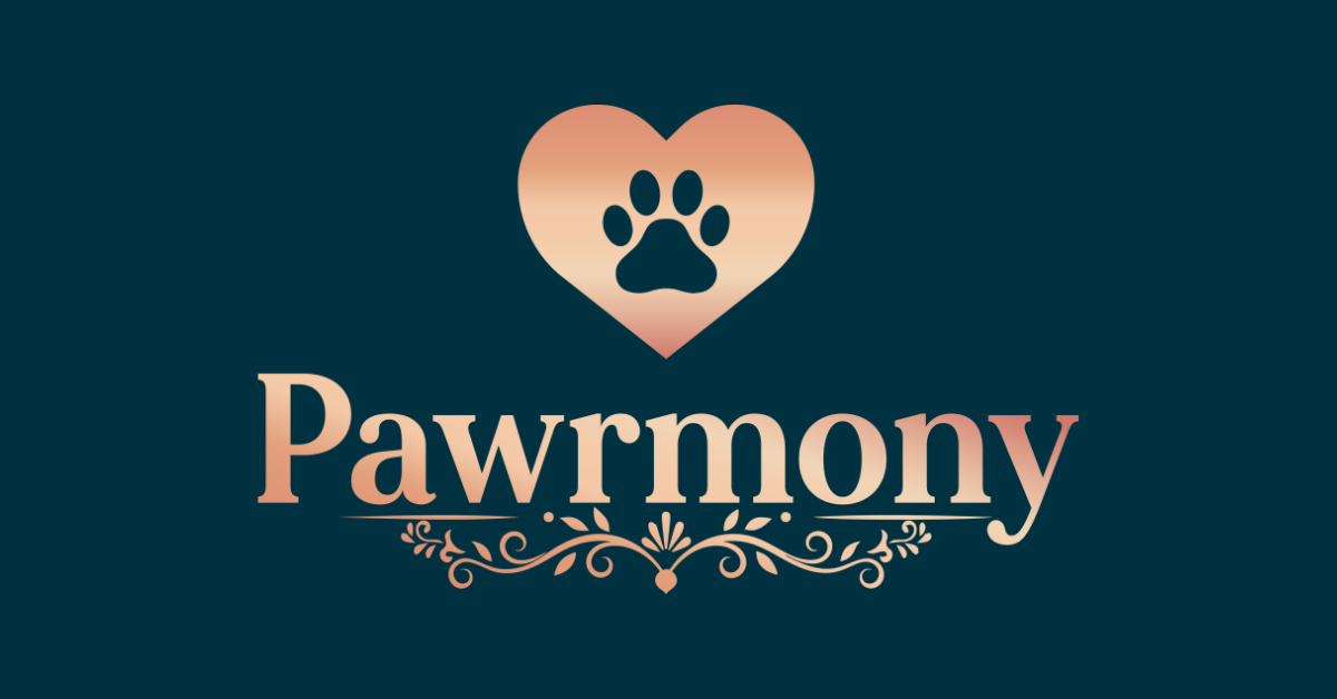Pawrmony | Dog Outfits That Turn Heads