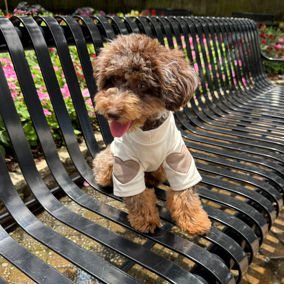 Small dog wearing a beige outfit with heart patterns on a black metal bench in a garden
