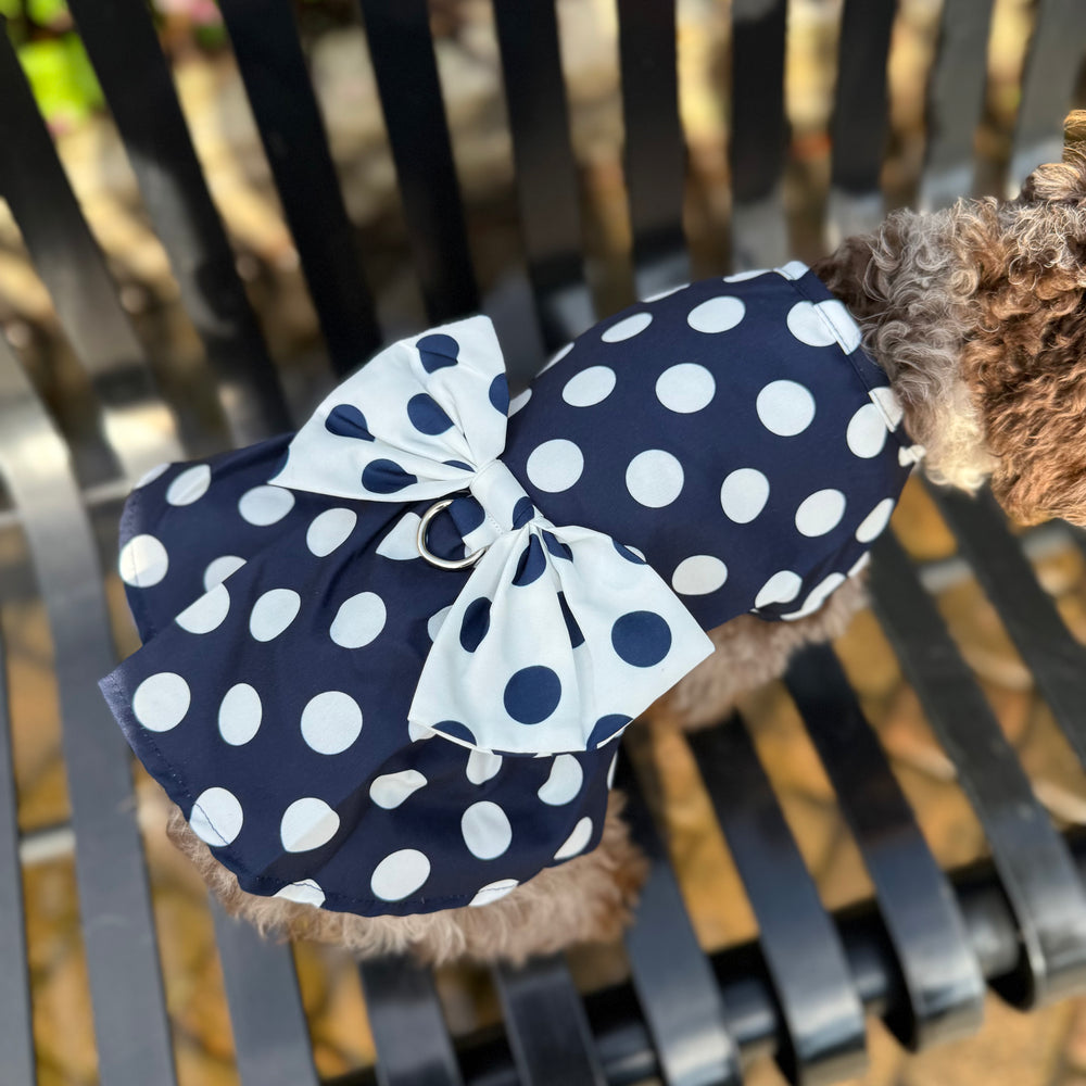 Dog wearing a navy blue polka dot dress on a metal bench.