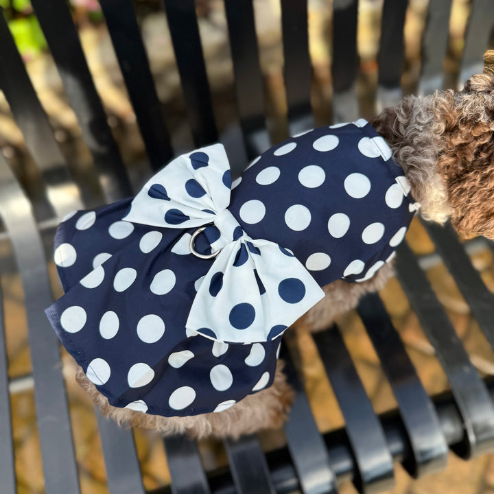 Dog wearing a navy blue polka dot dress on a metal bench.