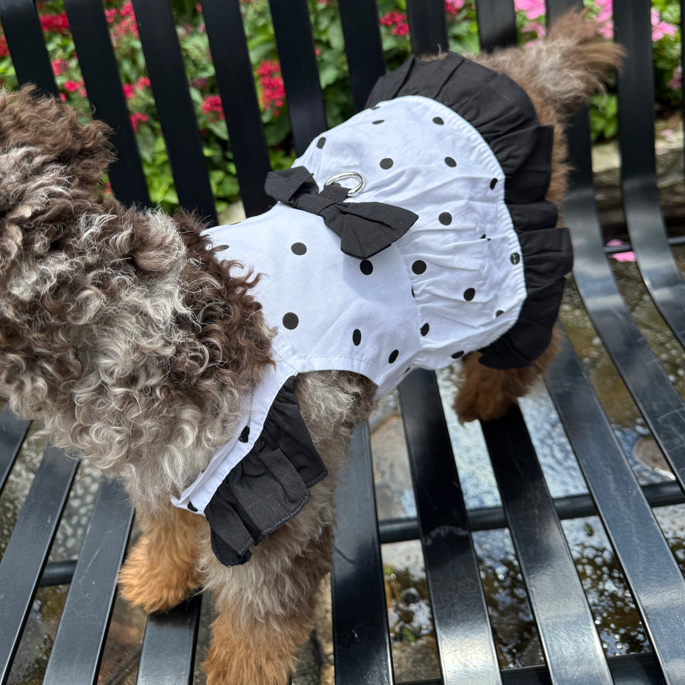 Dog wearing a white dress with black polka dots and a black bow on a metal bench.